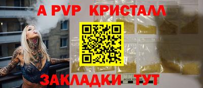 стаф Тара