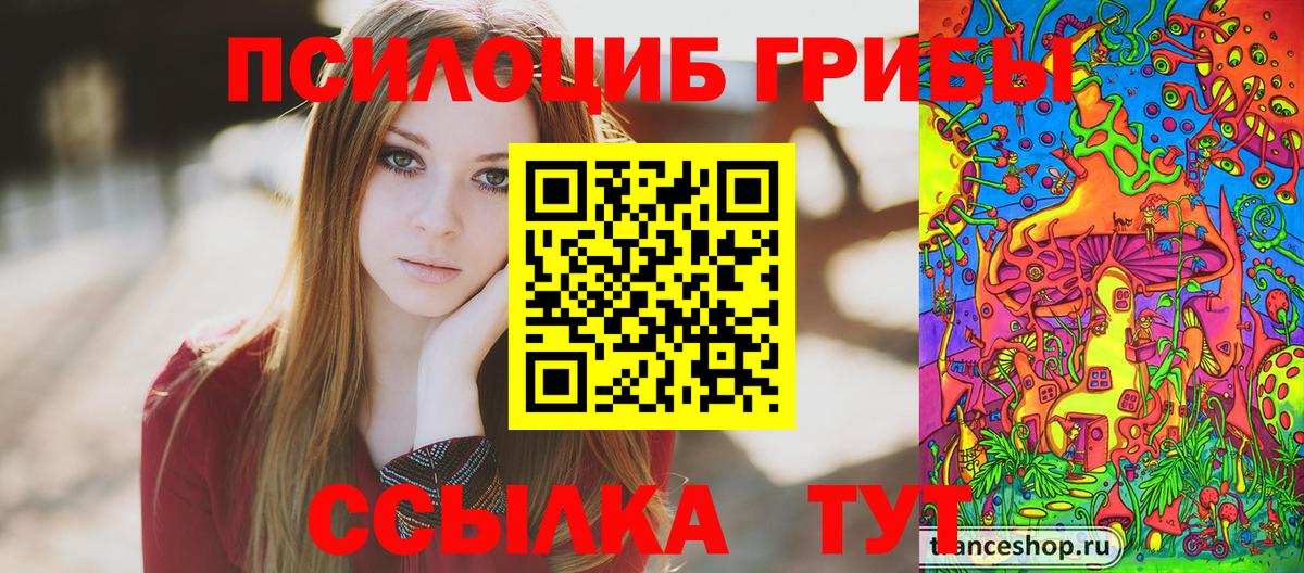 Галлюциногенные грибы Cubensis Нижний Новгород